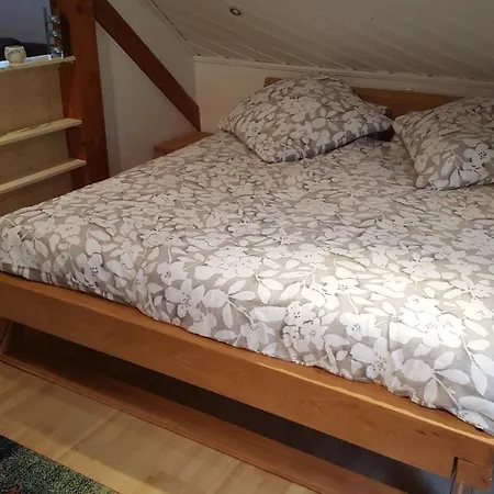 Elena Apartament Poppenhausen