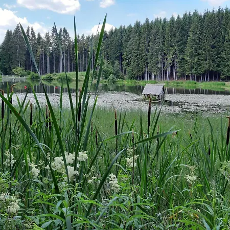 Elena * 波彭豪森