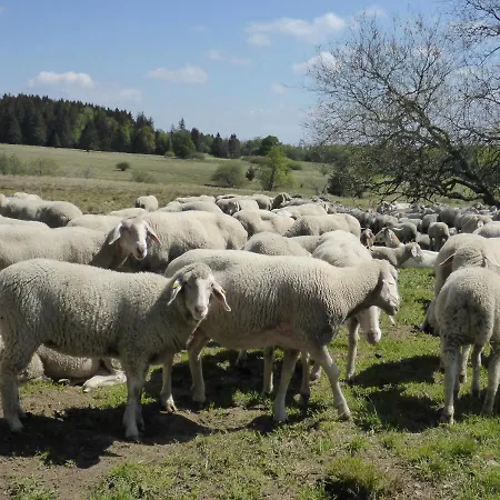 Elena 公寓 波彭豪森