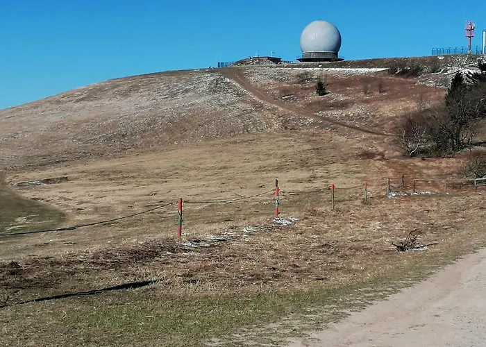 Апартаменты Elena