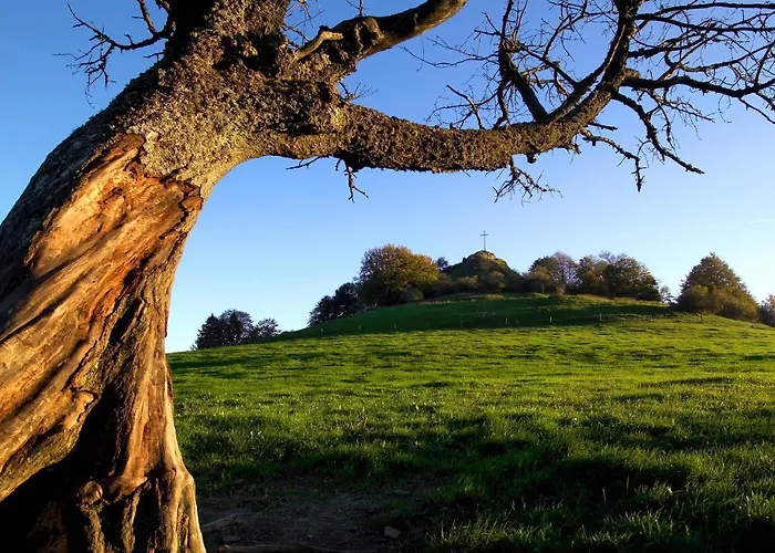 Апартаменты Elena