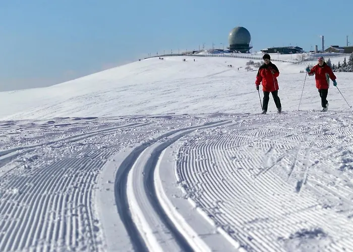 Elena Апартаменты