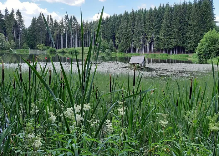 Elena * Поппенхаузен