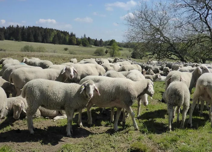 Elena Апартаменты Поппенхаузен