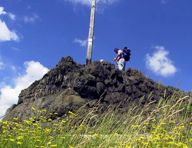 Elena Апартаменты